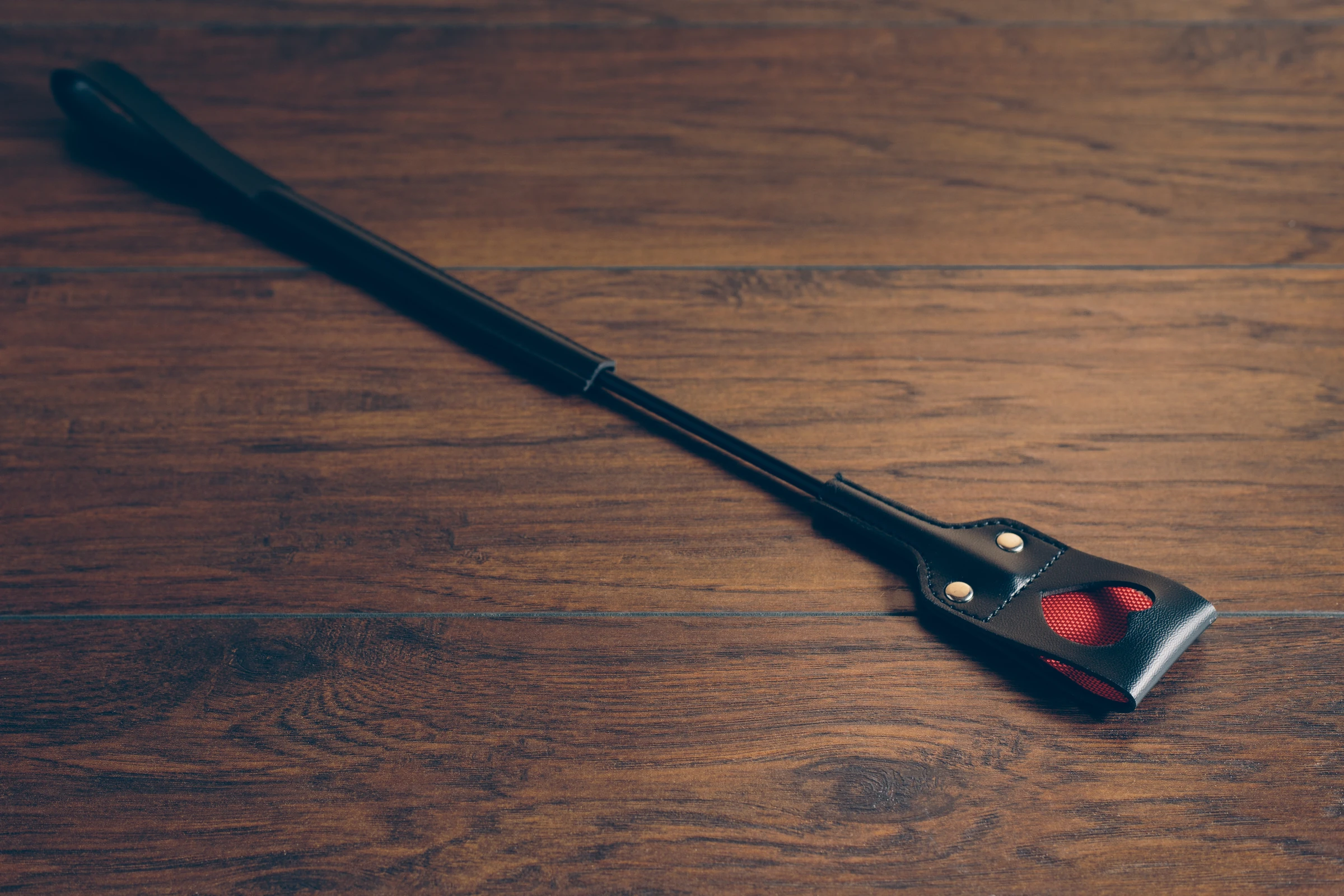 Peitschen & Flogger.
